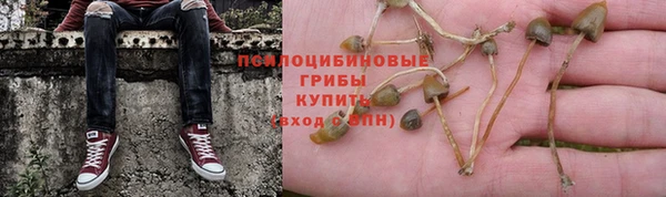 скорость Бронницы