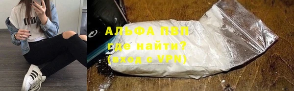 стаф Бородино