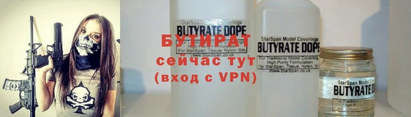 стаф Бородино