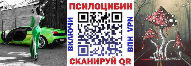 blacksprut зеркало  Кимры  Псилоцибиновые грибы Cubensis 